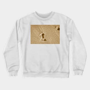 Pieces white coral washed up on beach forming number 1 Crewneck Sweatshirt